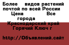Более200 видов растений почтой по всей России › Цена ­ 100-500 - Все города  »    . Краснодарский край,Горячий Ключ г.
